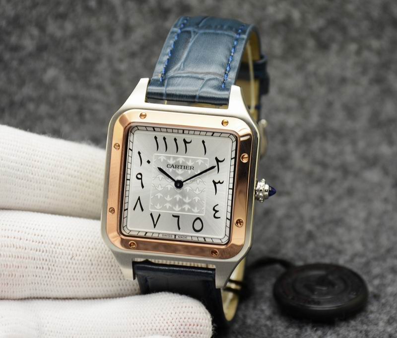 Cartier 35X46mm 31.5X43.5mm 05 (6)